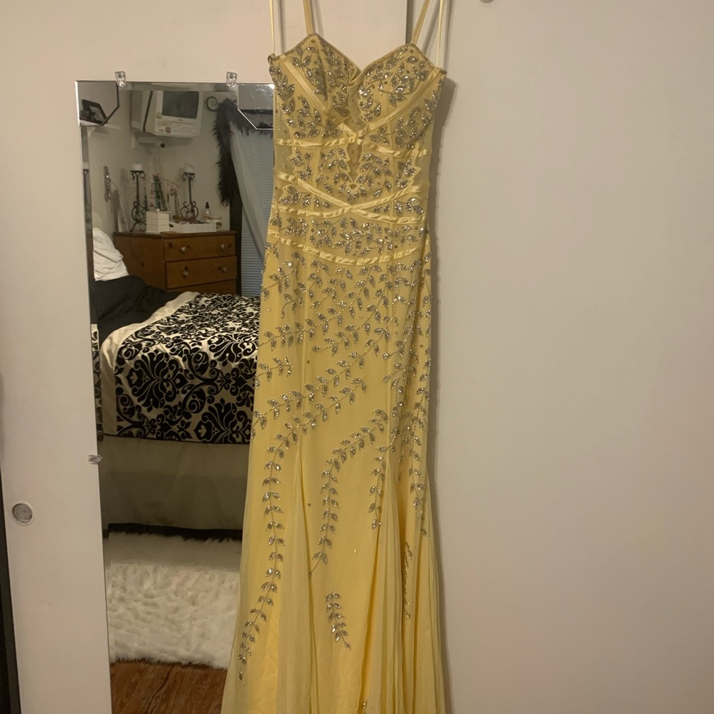 Gorgeous beaded Chache gown